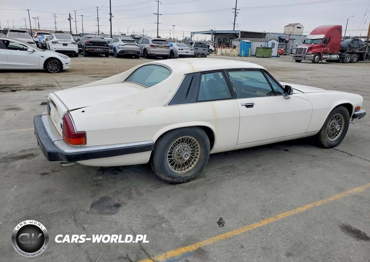 1984 Jaguar Xjs VIN:SAJNV5842EC113497 - 3