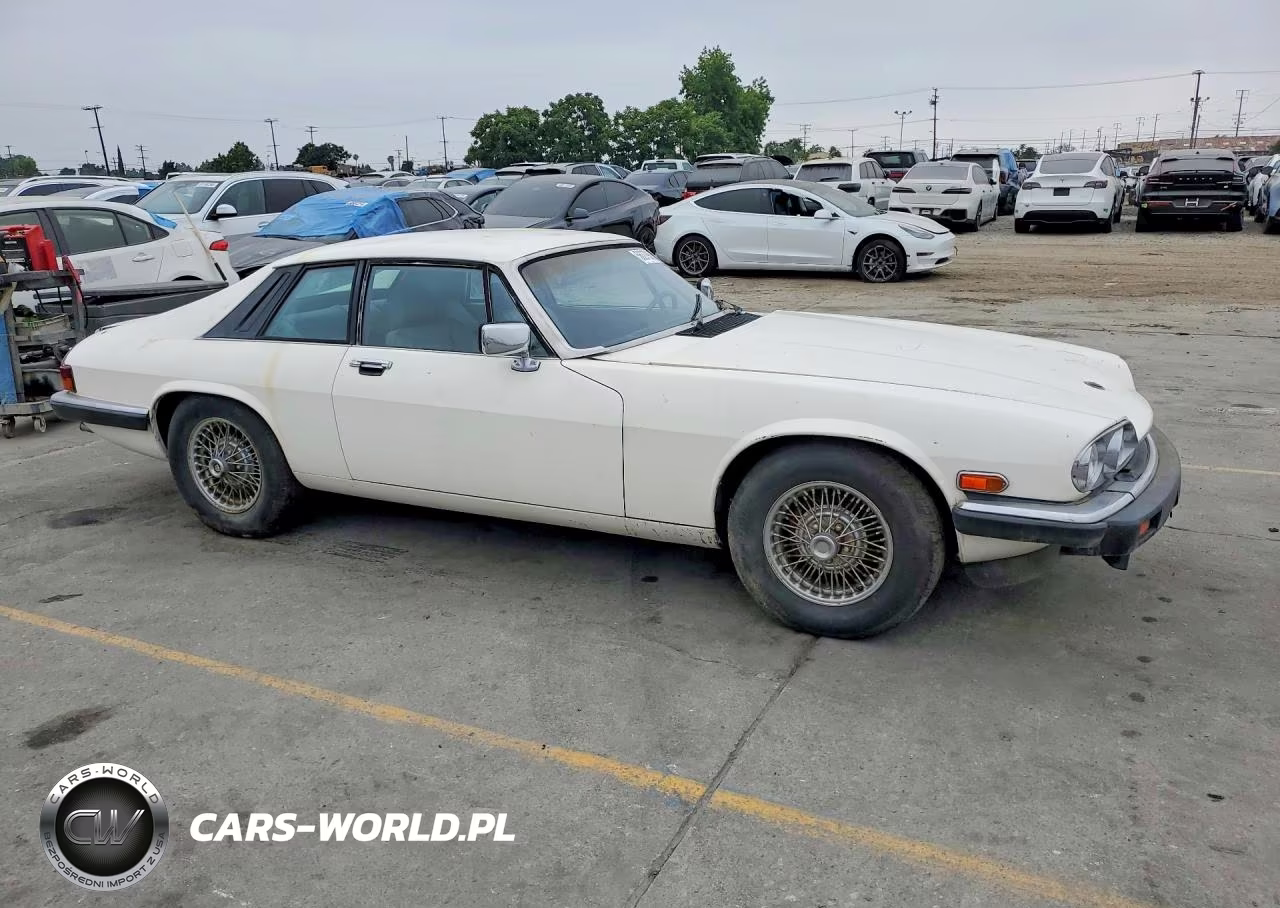 1984 Jaguar Xjs VIN:SAJNV5842EC113497 - 4