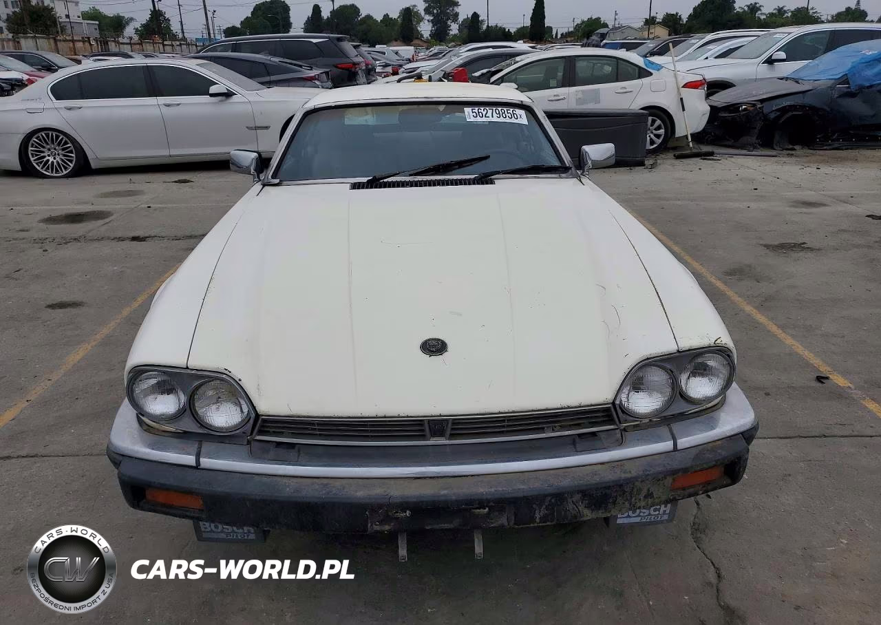 1984 Jaguar Xjs VIN:SAJNV5842EC113497 - 5
