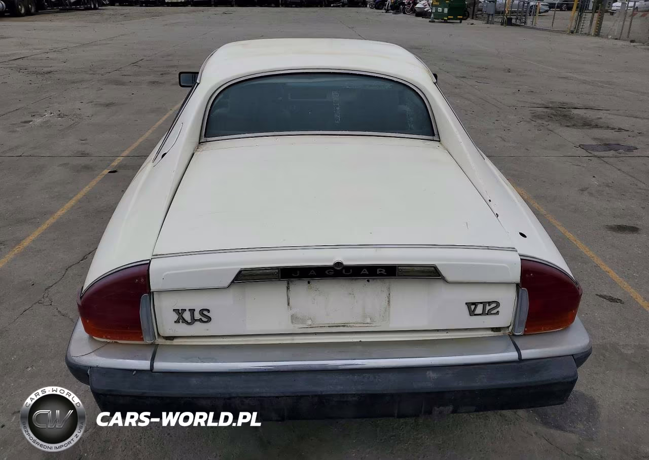 1984 Jaguar Xjs VIN:SAJNV5842EC113497 - 6