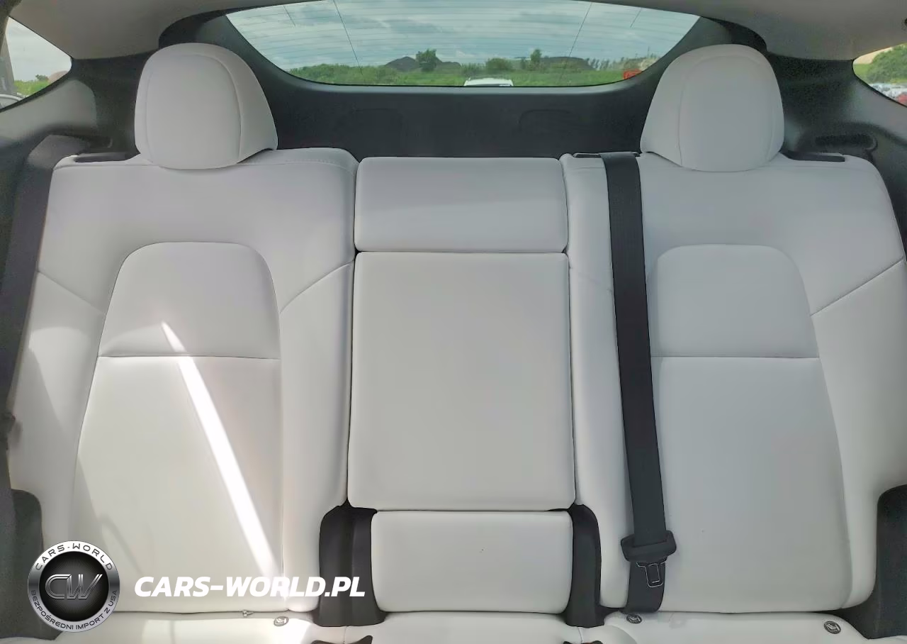 2023 Tesla Model Y VIN:7SAYGDEE7PA178199 - 10