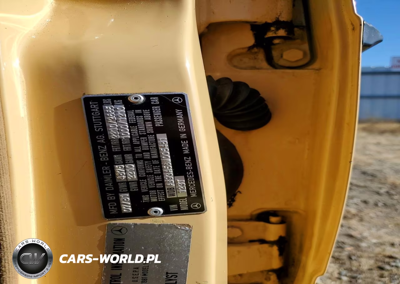 1981 Mercedes-Benz 300 Td VIN:WDBAB93A5BN005481 - 12