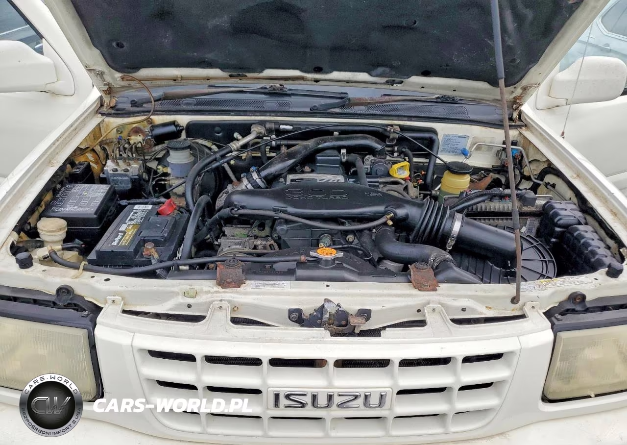 1999 Isuzu Rodeo VIN:UES73FW4106291 - 12