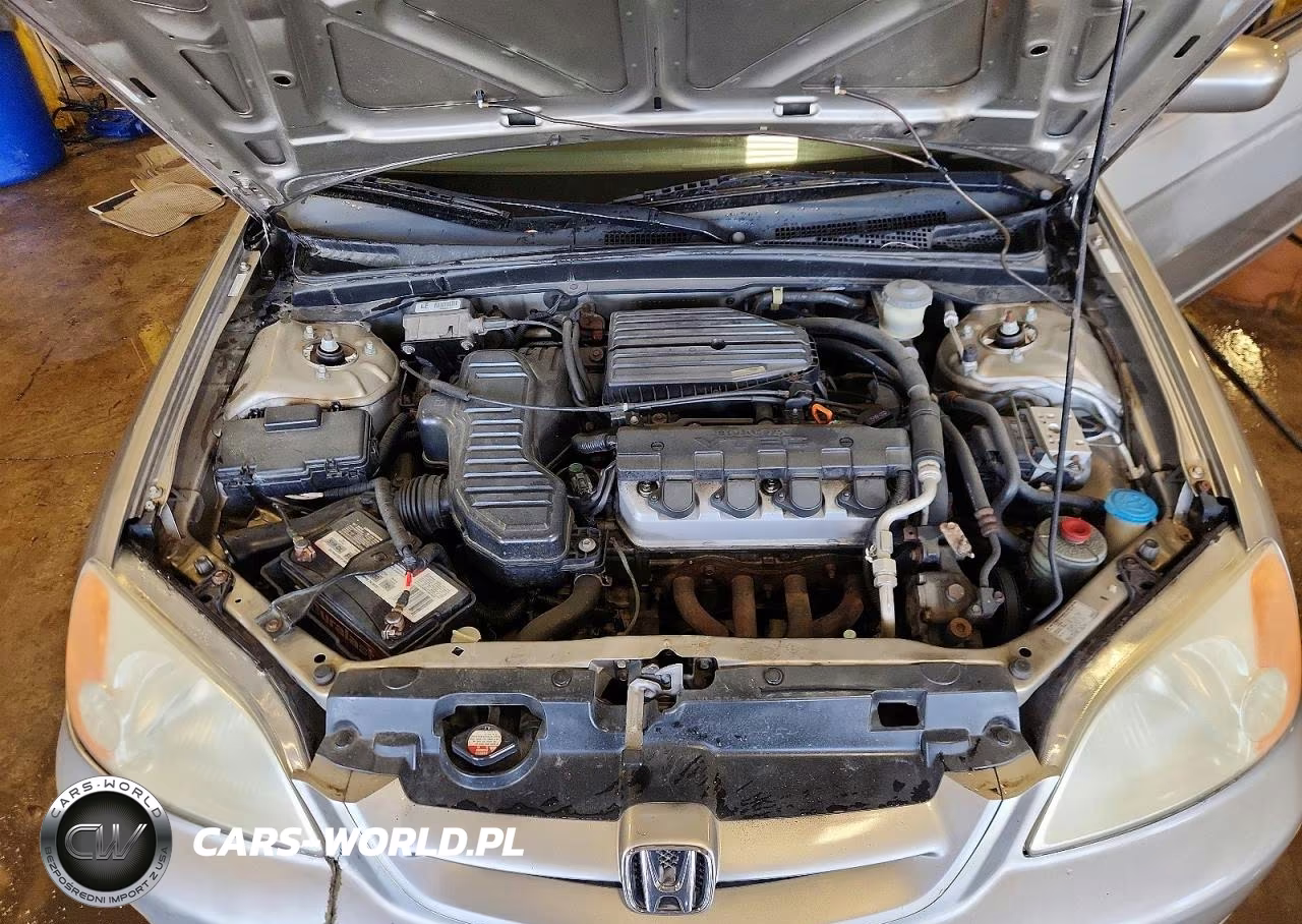 2003 Honda Civic Ex VIN:1HGEM229X3L021251 - 11