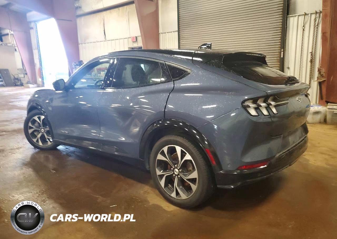 2021 Ford Mustang Mach-E Premium VIN:3FMTK3SUXMMA42697 - 2
