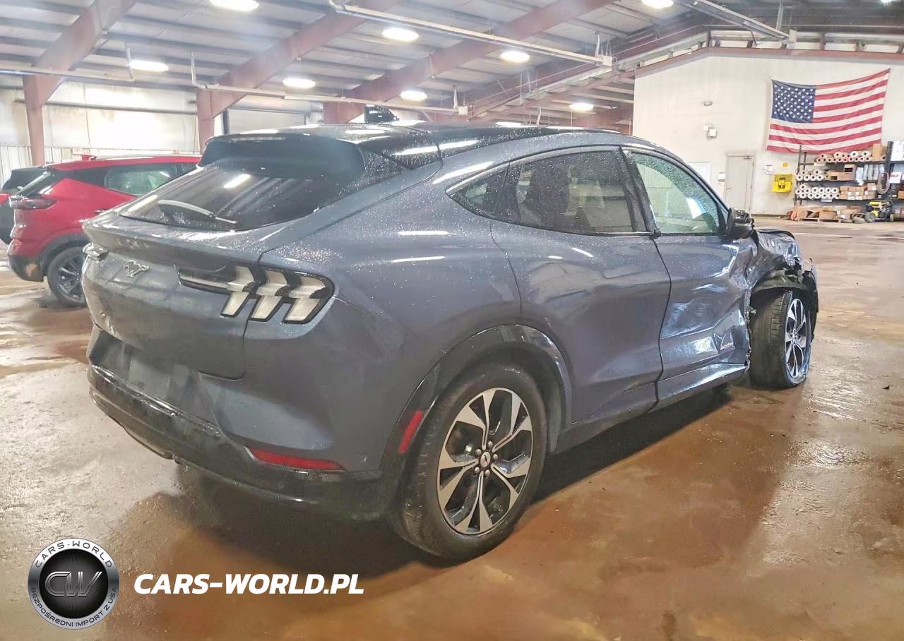 2021 Ford Mustang Mach-E Premium VIN:3FMTK3SUXMMA42697 - 3