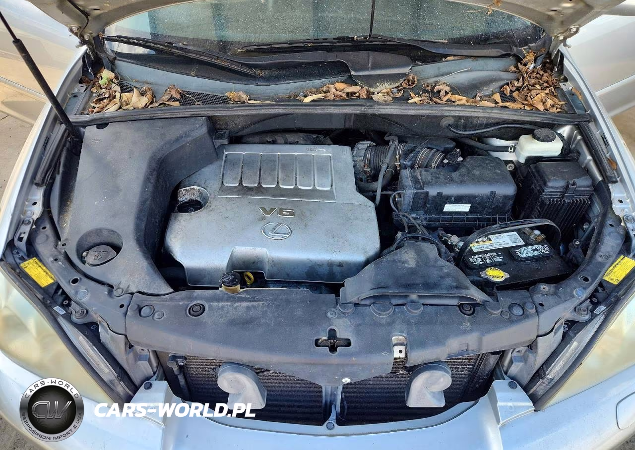 2009 Lexus Rx 350 VIN:2T2GK31U89C073871 - 12