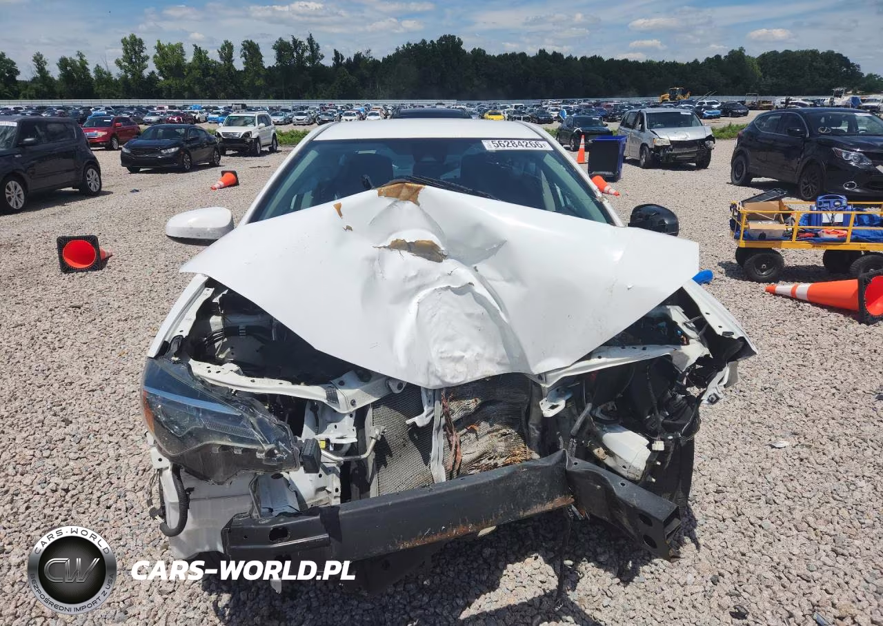 2019 Toyota Corolla Le VIN:2T1BURHE0KC149213 - 5