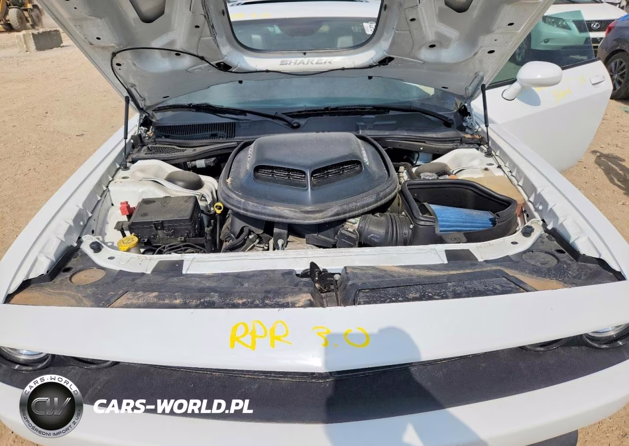 2016 Dodge Challenger R VIN:2C3CDZFJXGH289758 - 11
