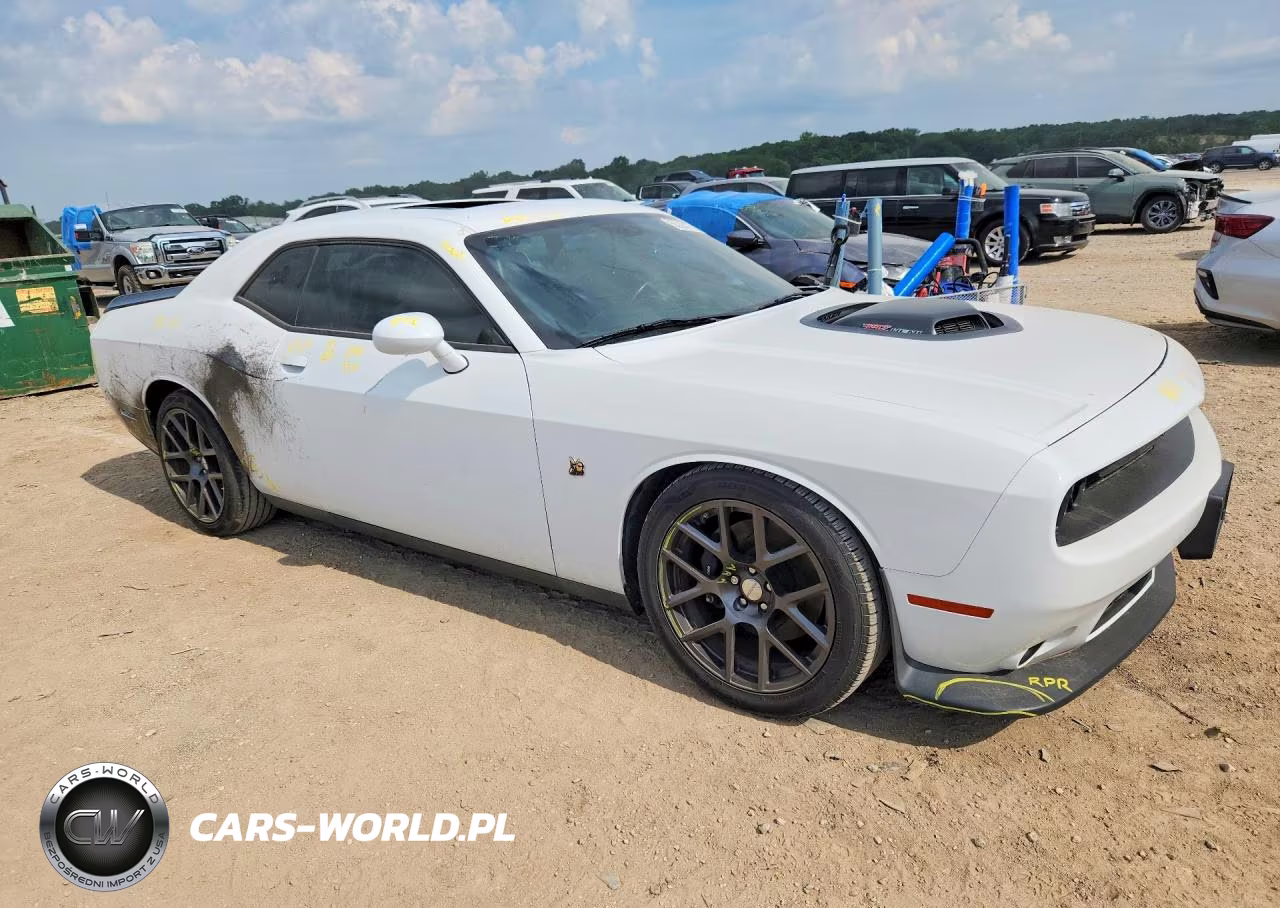 2016 Dodge Challenger R VIN:2C3CDZFJXGH289758 - 4