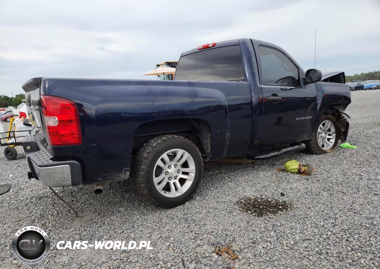 2009 Chevrolet Silverado C1500 VIN:1GCEC14X19Z200176 - 3