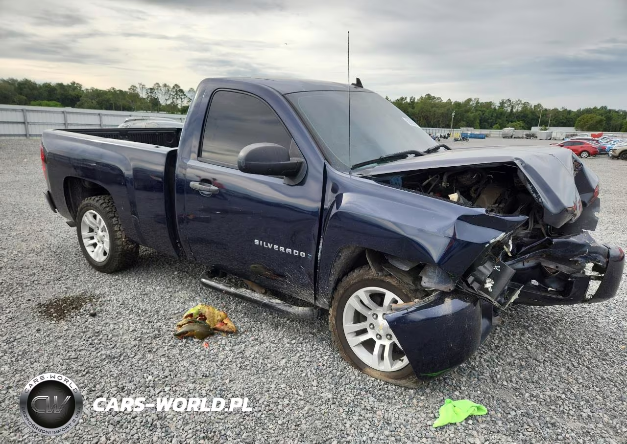 2009 Chevrolet Silverado C1500 VIN:1GCEC14X19Z200176 - 4