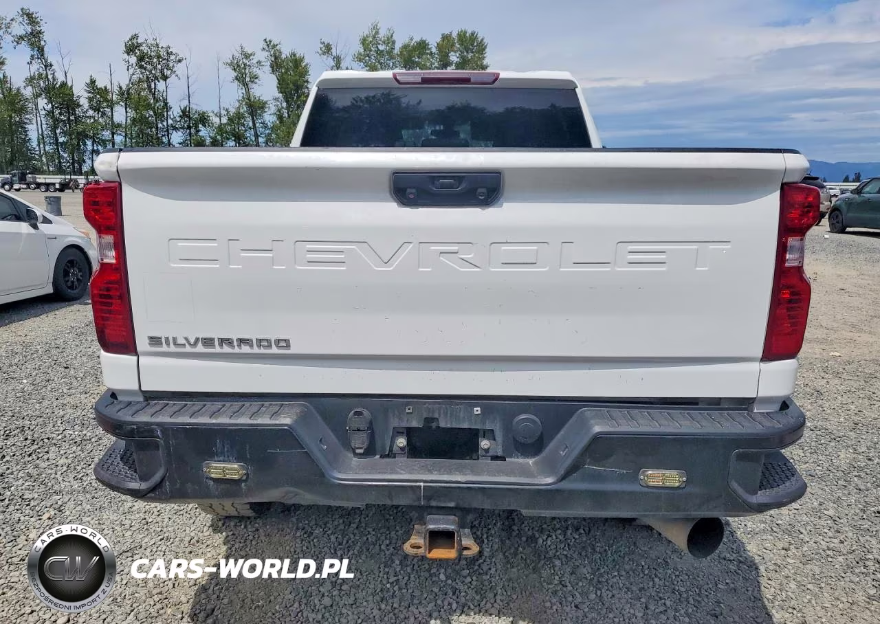 2023 Chevrolet Silverado K3500 VIN:2GC4YSEY7P1712105 - 6