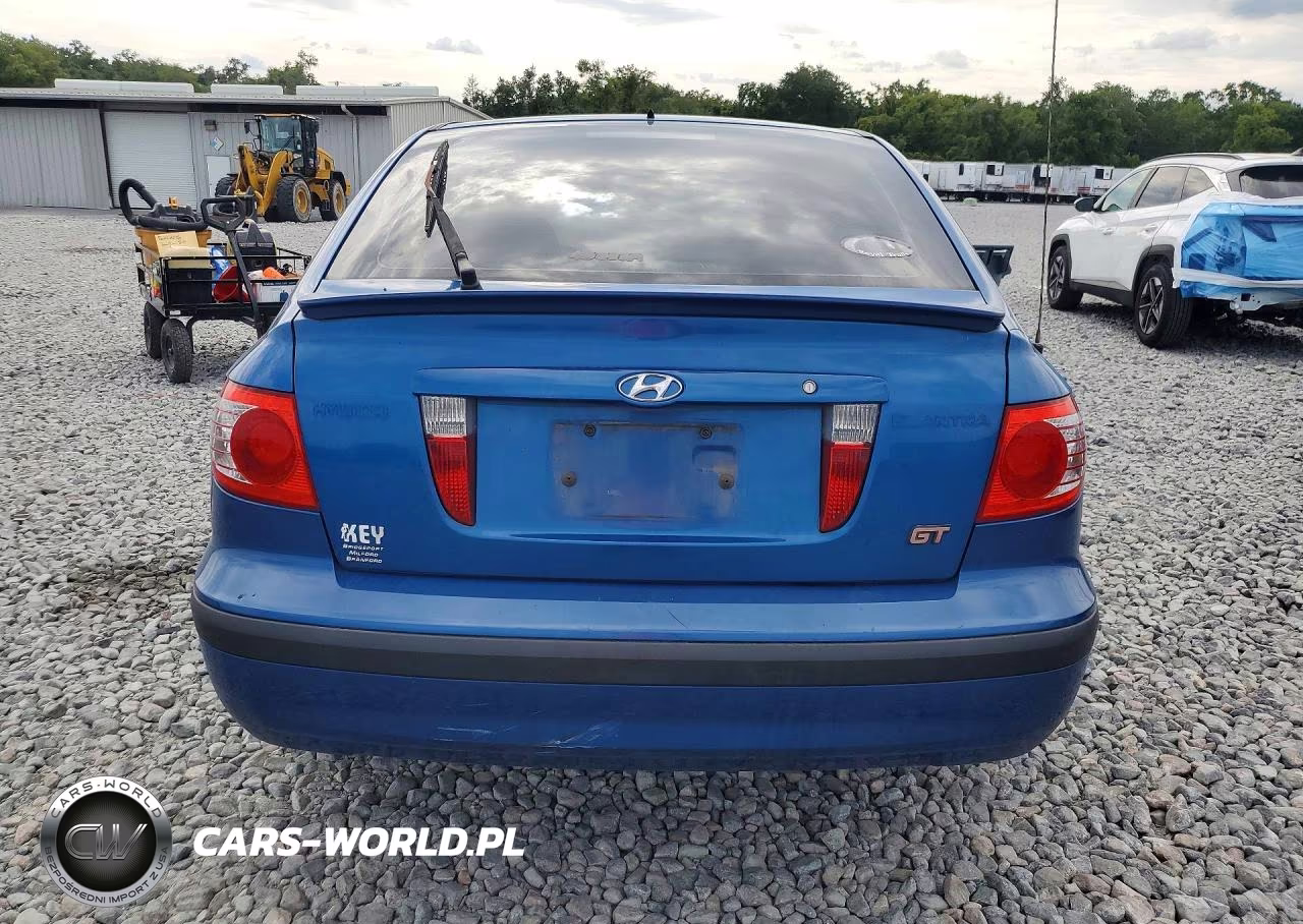 2006 Hyundai Elantra Gls VIN:KMHDN56D46U189520 - 6