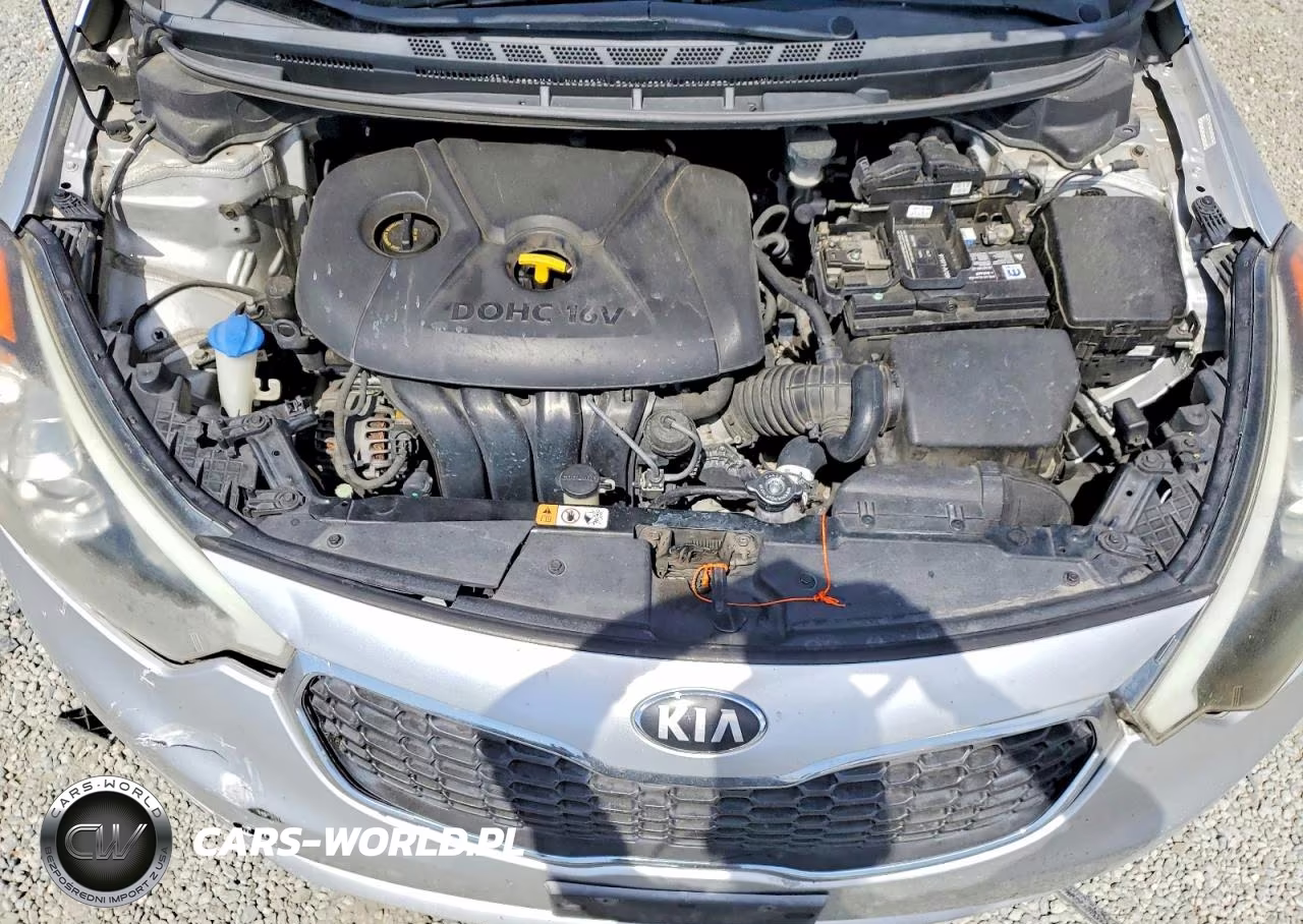 2014 Kia Forte Lx VIN:KNAFK4A63E5254632 - 11