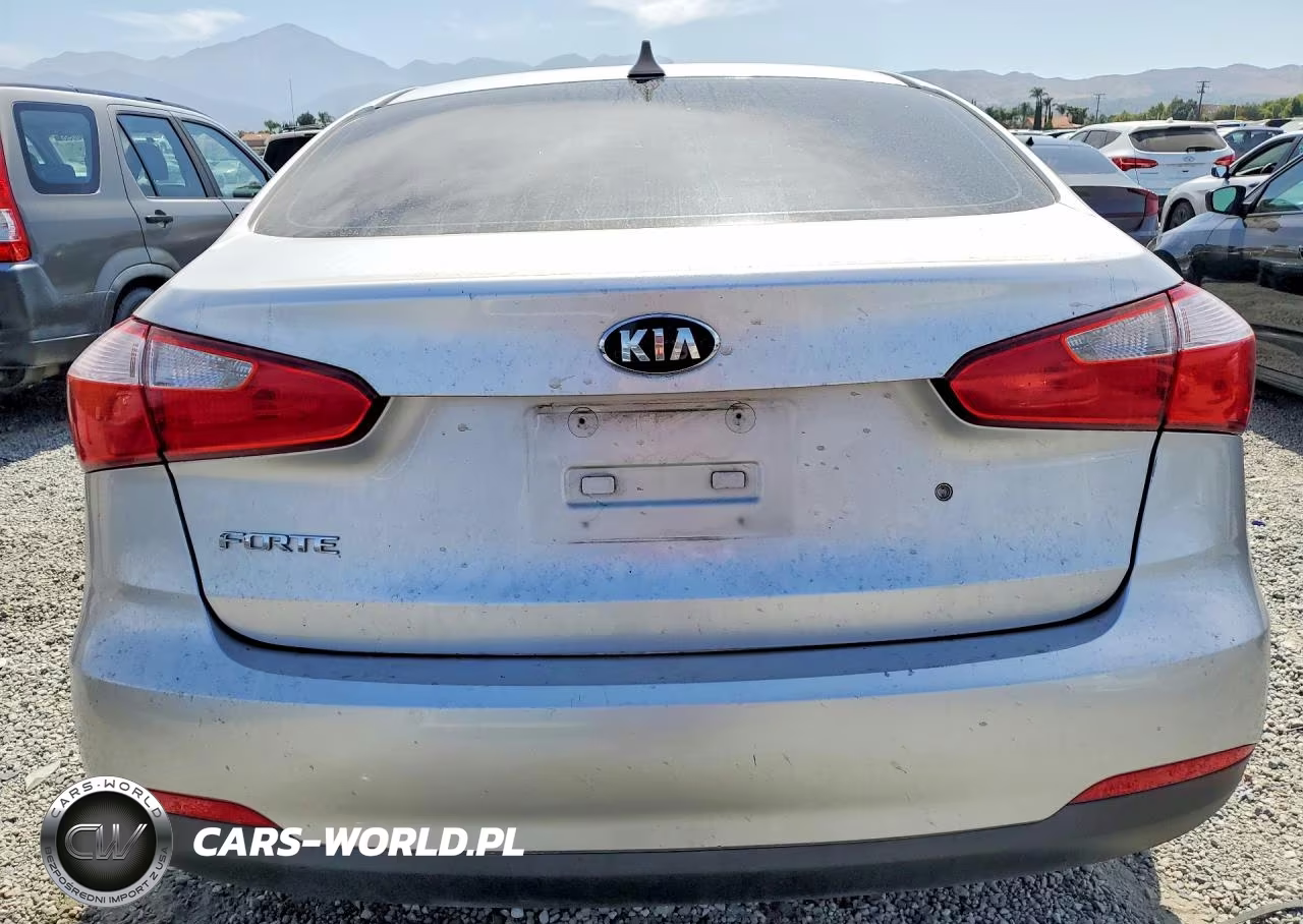 2014 Kia Forte Lx VIN:KNAFK4A63E5254632 - 6