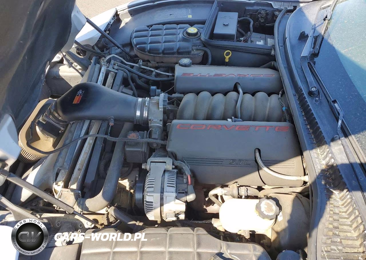 1999 Chevrolet Corvette VIN:1G1YY22G8X5101875 - 11