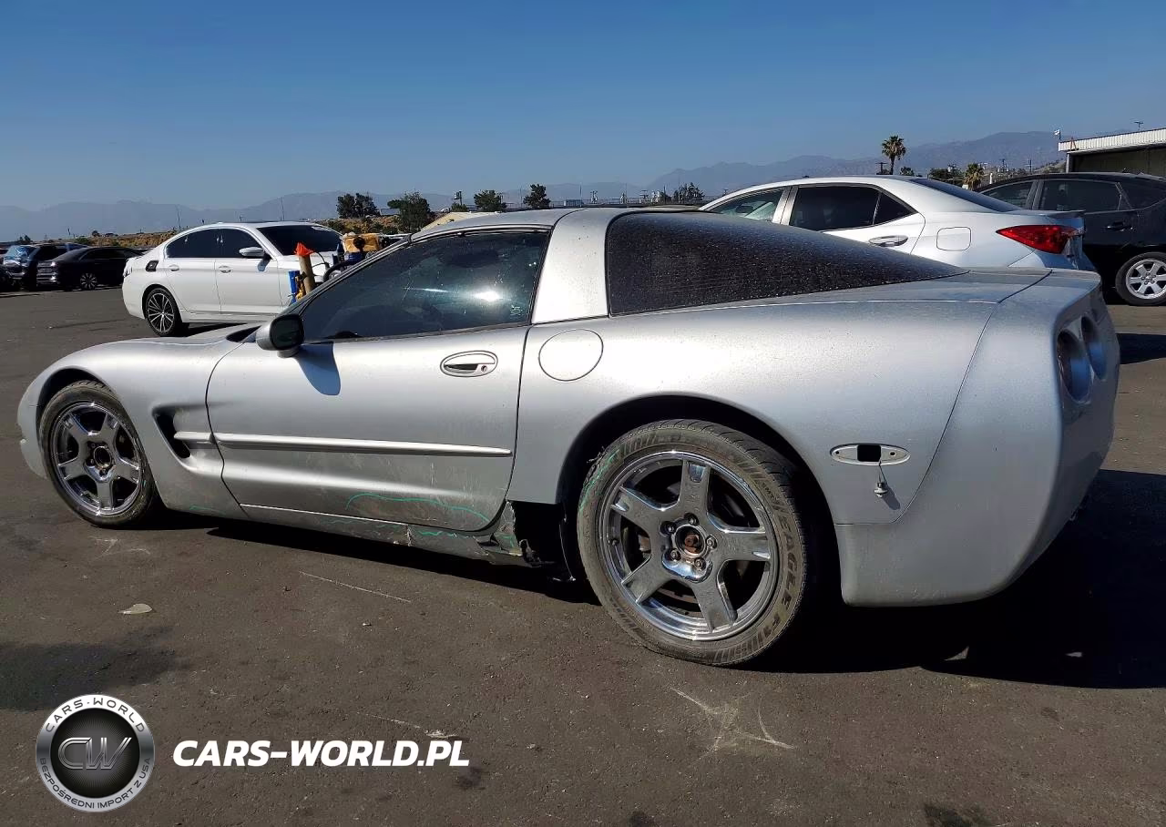 1999 Chevrolet Corvette VIN:1G1YY22G8X5101875 - 2