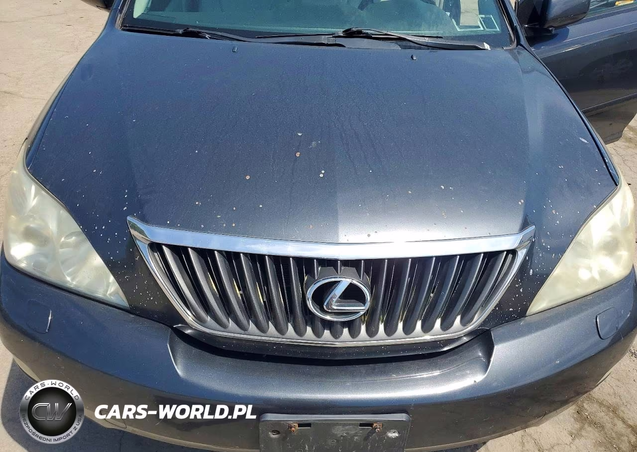 2009 Lexus Rx 350 VIN:2T2HK31U89C097365 - 12