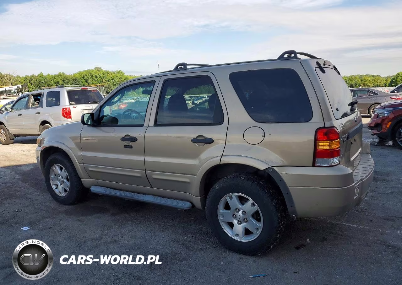 2007 Ford Escape Xlt VIN:1FMYU03137KA06543 - 2