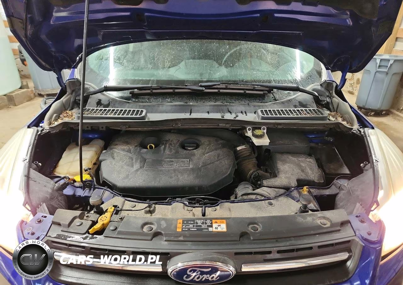 2016 Ford Escape Se VIN:1FMCU9G94GUB20828 - 12