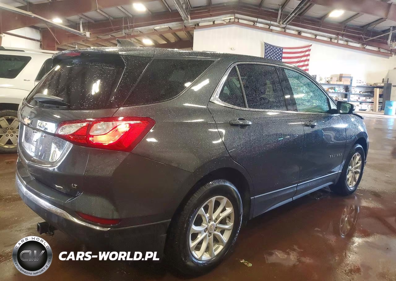 2019 Chevrolet Equinox Lt VIN:2GNAXKEV7K6196844 - 3