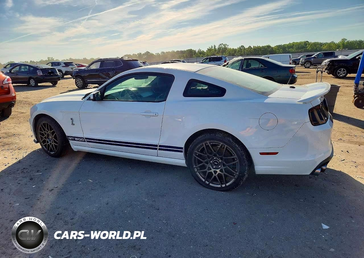 2014 Ford Mustang Shelby Gt500 VIN:1ZVBP8JZ1E5258518 - 2