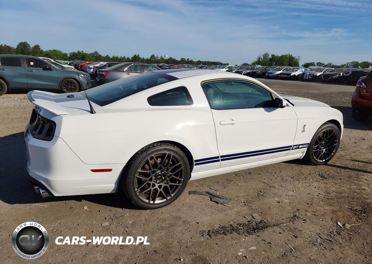 2014 Ford Mustang Shelby Gt500 VIN:1ZVBP8JZ1E5258518 - 3