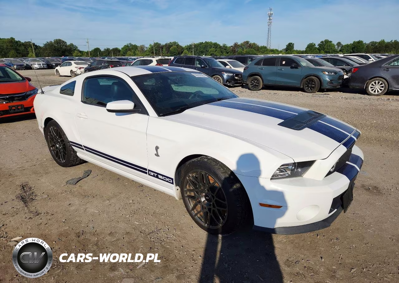 2014 Ford Mustang Shelby Gt500 VIN:1ZVBP8JZ1E5258518 - 4