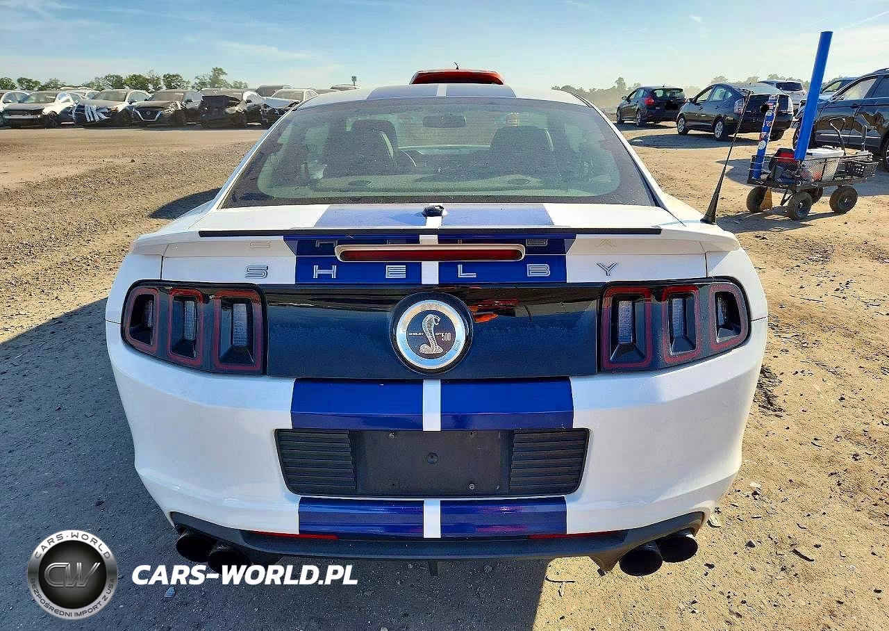 2014 Ford Mustang Shelby Gt500 VIN:1ZVBP8JZ1E5258518 - 6