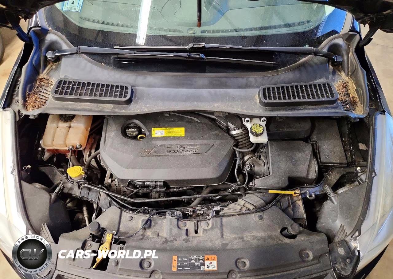 2016 Ford Escape Se VIN:1FMCU9GX6GUA06473 - 12