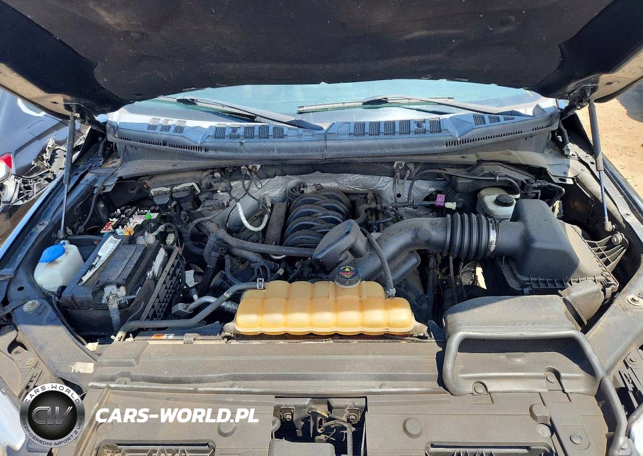 2015 Ford F150 Supercrew VIN:1FTEW1EF4FKE19053 - 11