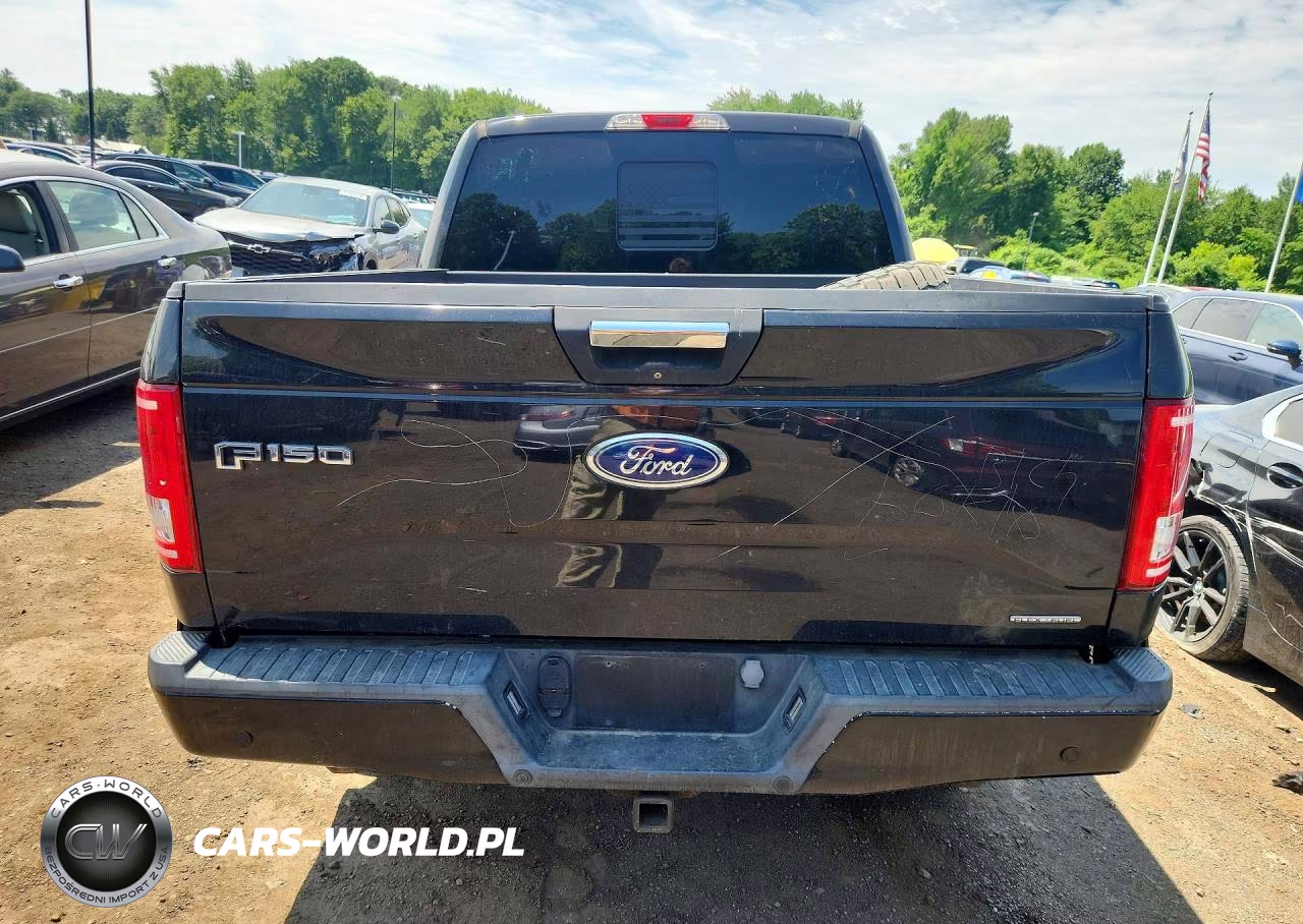 2015 Ford F150 Supercrew VIN:1FTEW1EF4FKE19053 - 6