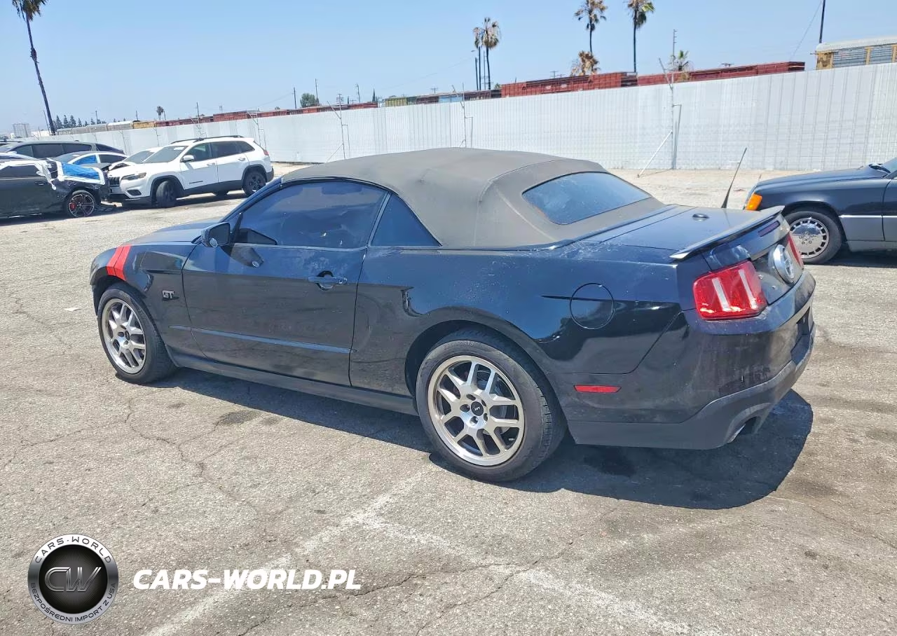 2010 Ford Mustang Gt VIN:1ZVBP8FH1A5119337 - 2