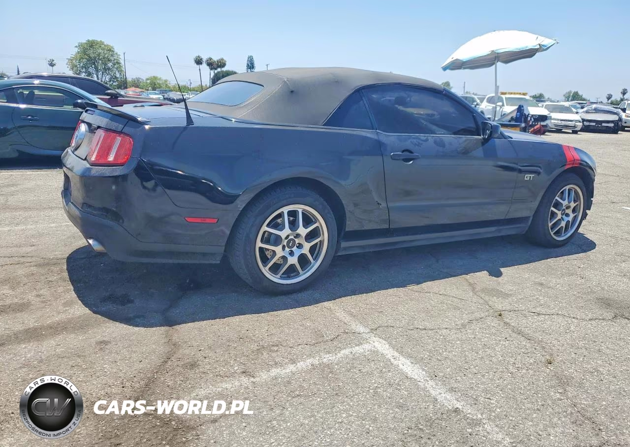 2010 Ford Mustang Gt VIN:1ZVBP8FH1A5119337 - 3
