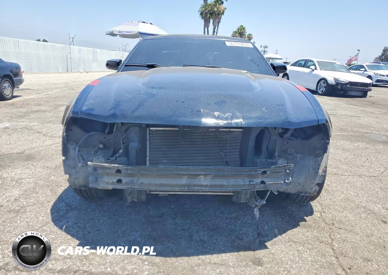 2010 Ford Mustang Gt VIN:1ZVBP8FH1A5119337 - 5