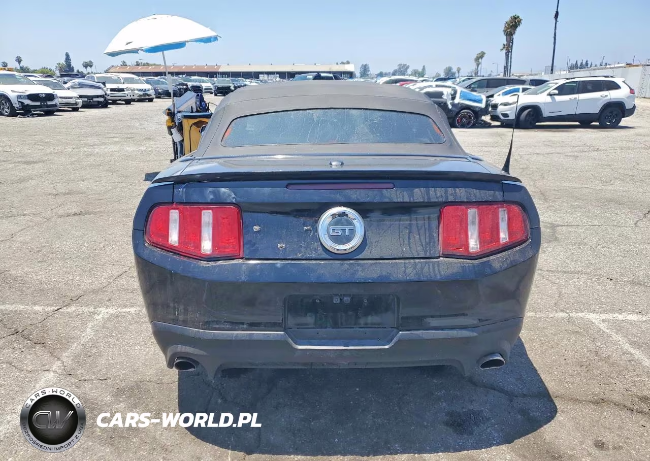 2010 Ford Mustang Gt VIN:1ZVBP8FH1A5119337 - 6