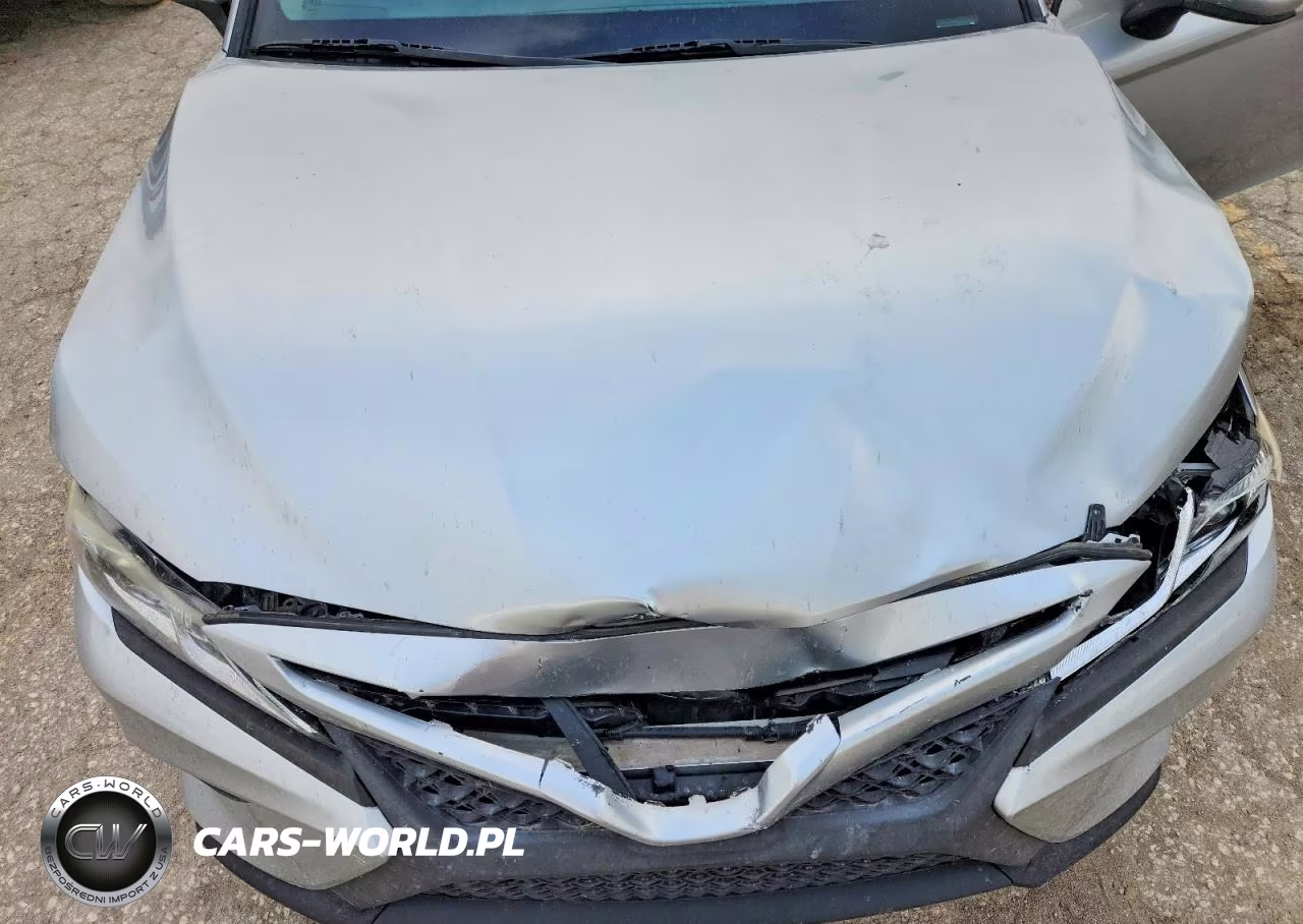 2019 Toyota Camry Se VIN:4T1B11HK9KU754605 - 11