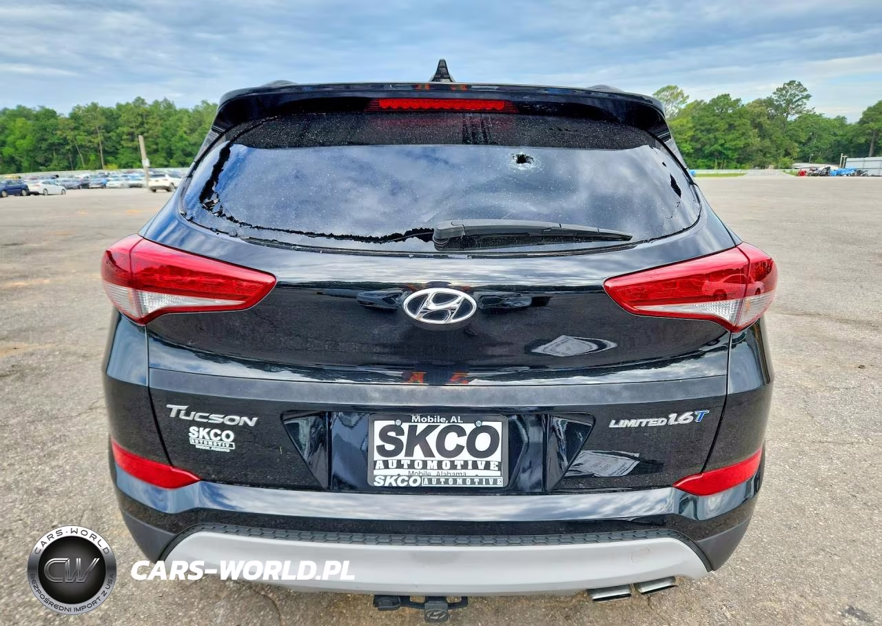 2017 Hyundai Tucson Limited VIN:KM8J33A28HU460777 - 6