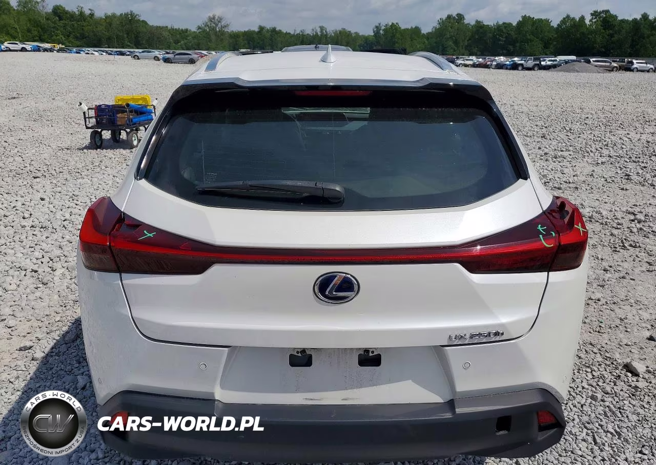 2022 Lexus Ux 250H Base VIN:JTHP9JBH3N2056750 - 6