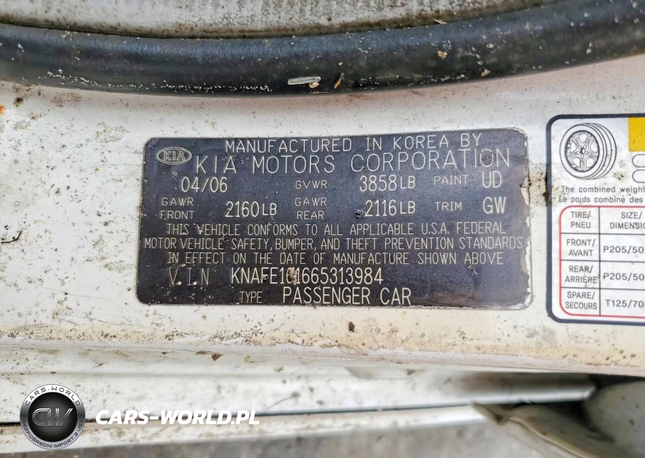2006 Kia Spectra Spectra5 VIN:KNAFE161665313984 - 11