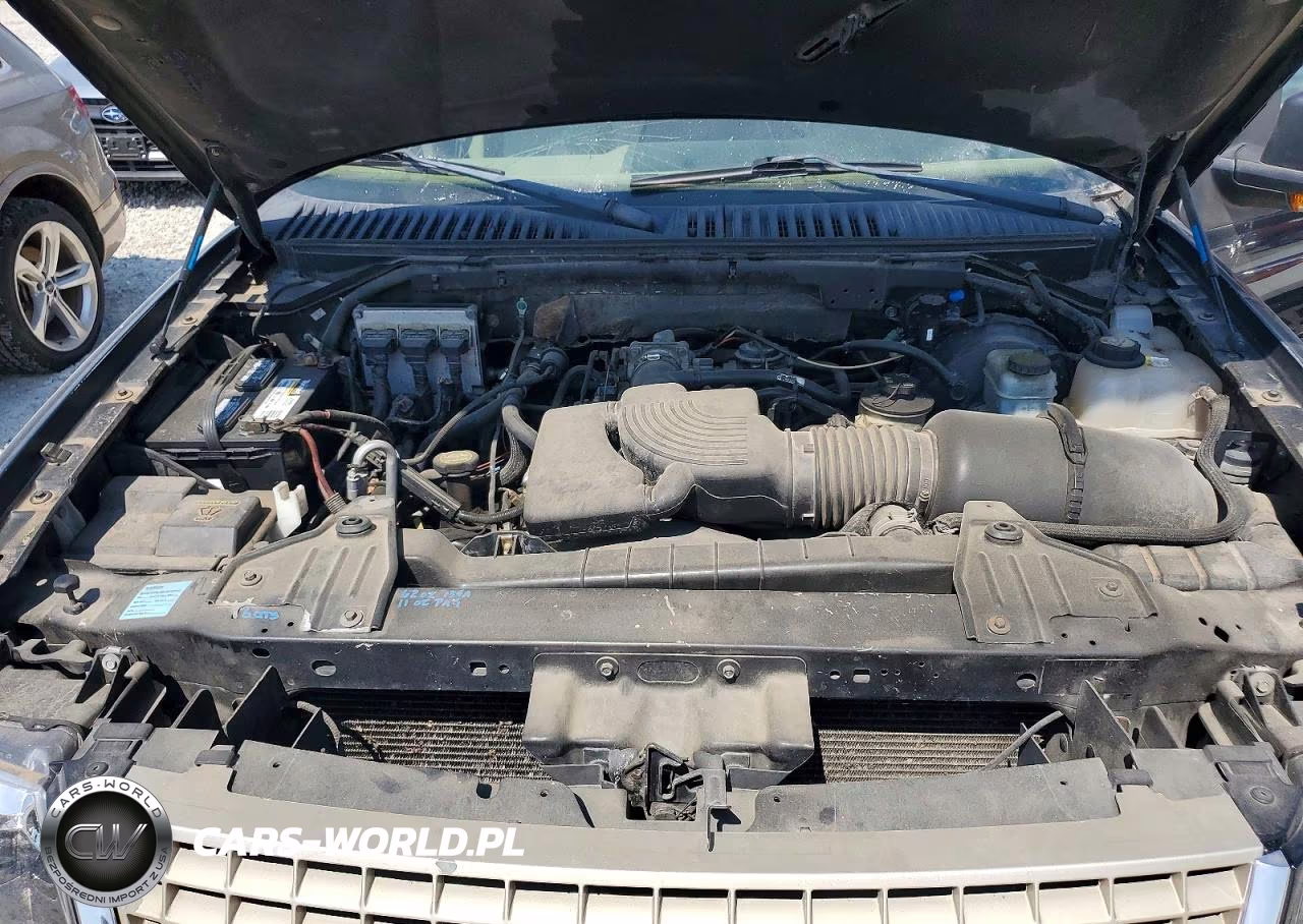 2003 Ford Expedition Eddie Bauer VIN:1FMEU17L03LA09182 - 12