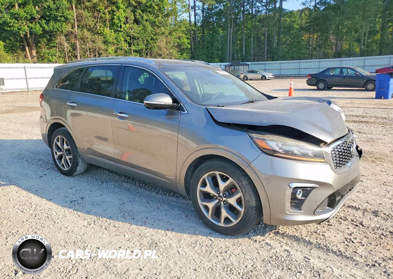 2019 Kia Sorento Sx V6 VIN:5XYPKDA52KG500636 - 4