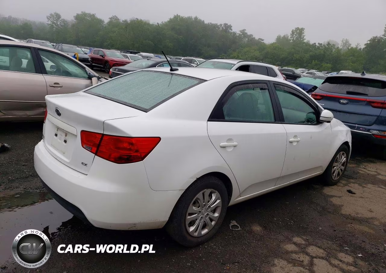 2012 Kia Forte Ex VIN:KNAFU4A24C5553504 - 3
