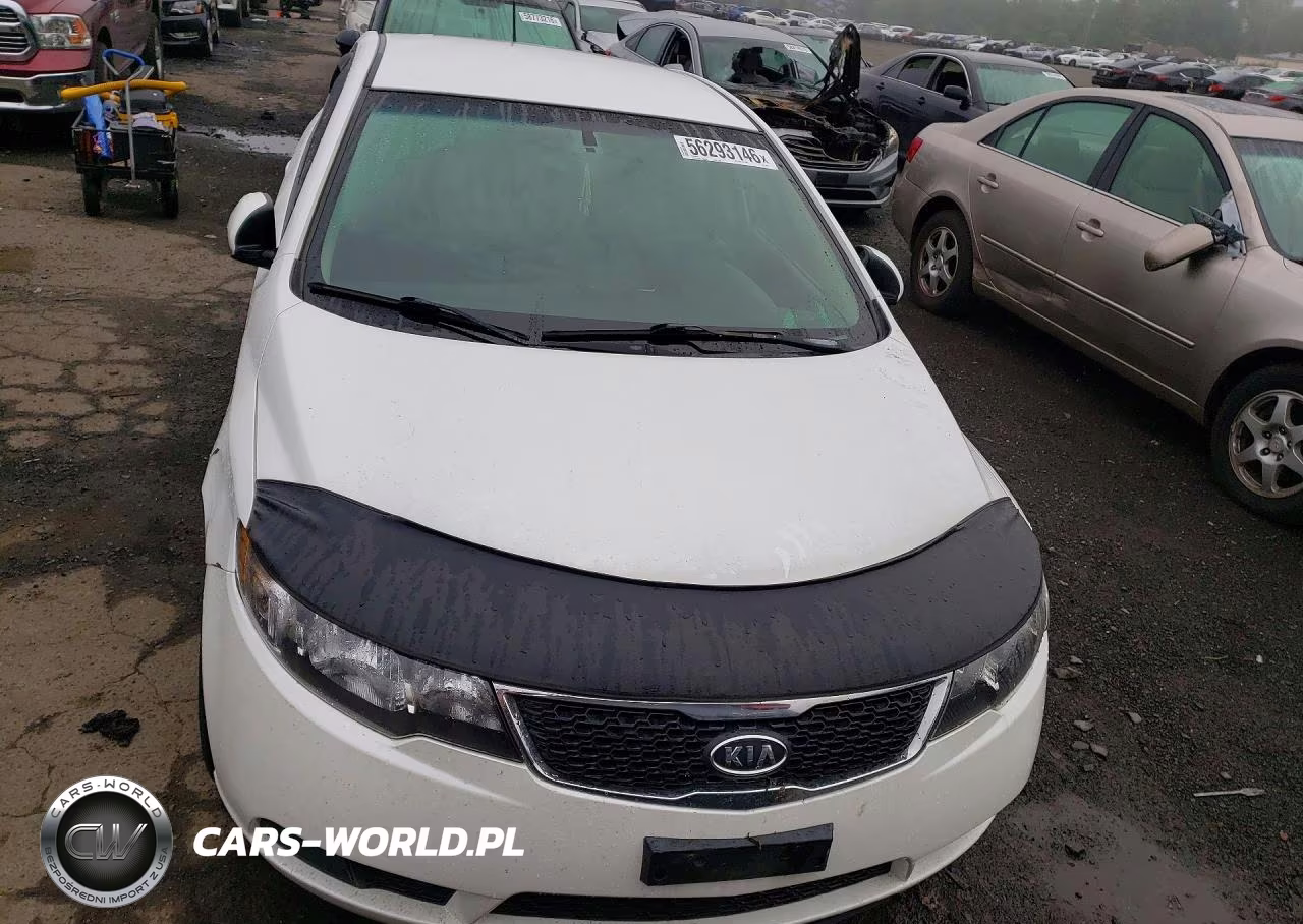 2012 Kia Forte Ex VIN:KNAFU4A24C5553504 - 5