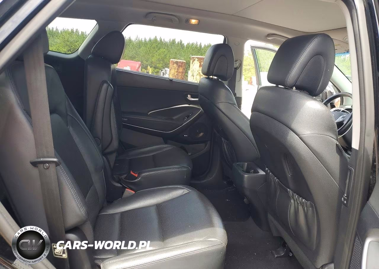 2017 Hyundai Santa Fe Limited Ultimate VIN:KM8SRDHF5HU175178 - 10