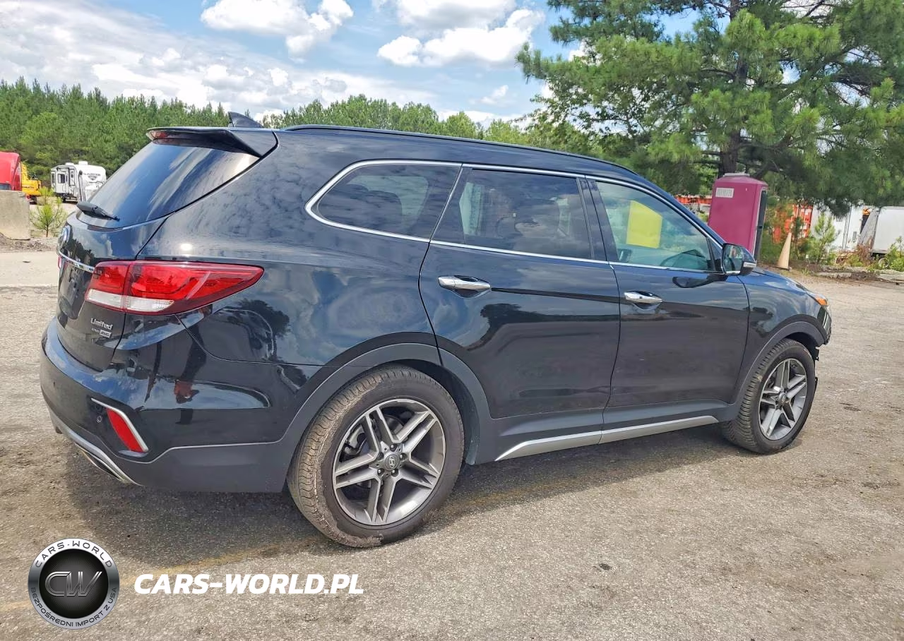 2017 Hyundai Santa Fe Limited Ultimate VIN:KM8SRDHF5HU175178 - 3