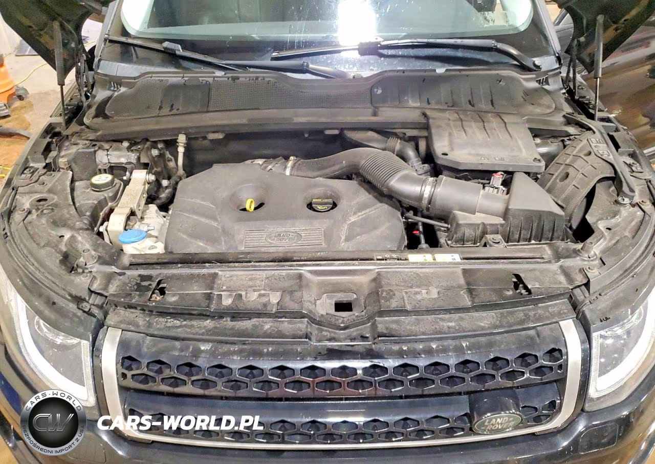 2017 Land Rover Range Rover Evoque Se VIN:SALVP2BG0HH206822 - 12