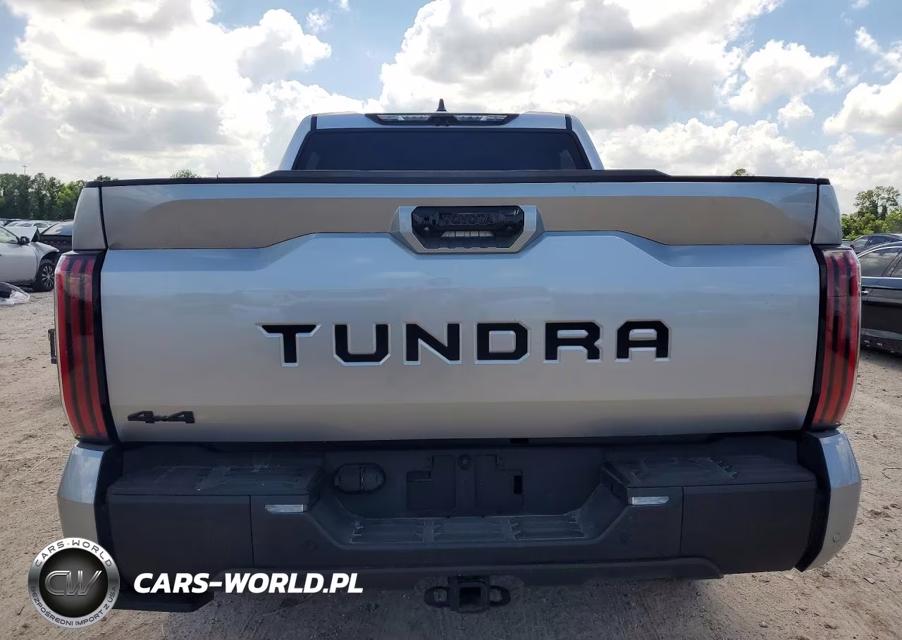 2025 Toyota Tundra Limited VIN:5TFWA5DB0SX310790 - 6