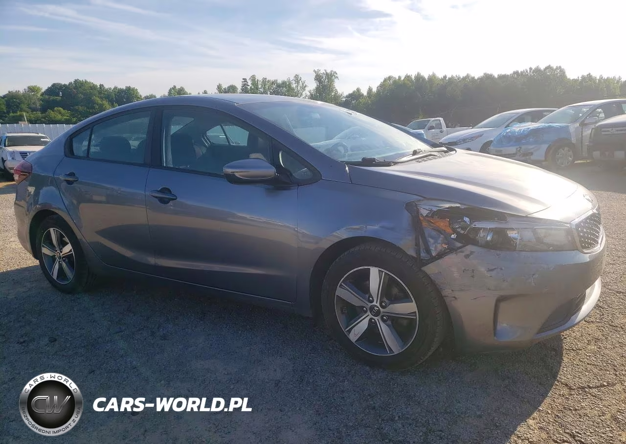 2018 Kia Forte S VIN:3KPFL4A74JE253934 - 4